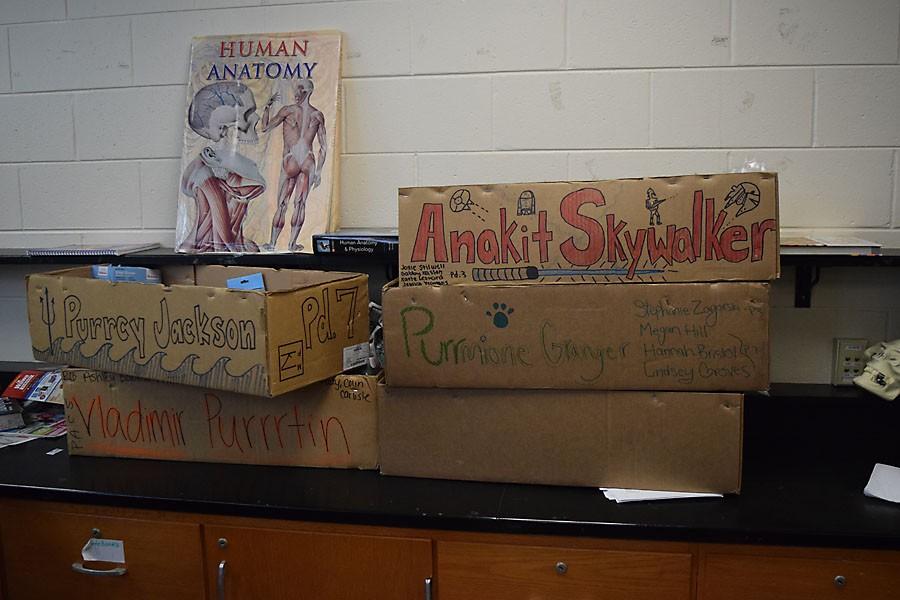 Students use puns to identify their dissection boxes.