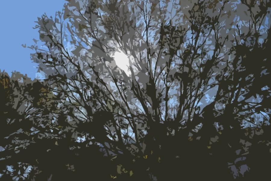 Prisoners hope to see things like this "tree" during Spring Break.