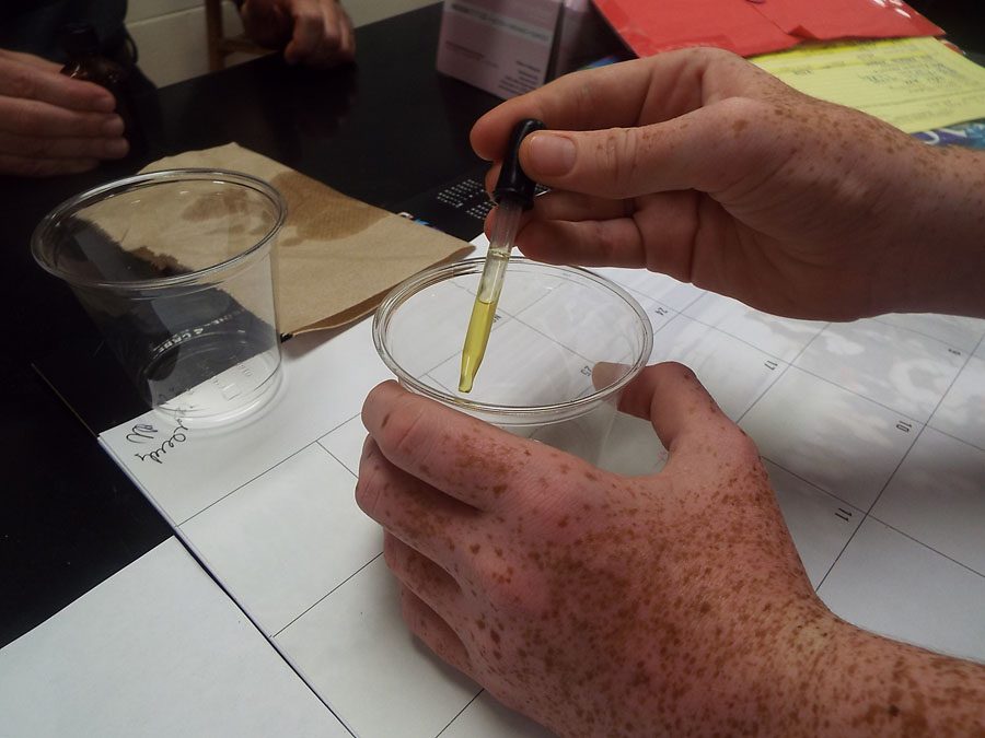 One of Mr. Schwartz’s biology students working with the artificial stunk liquid.