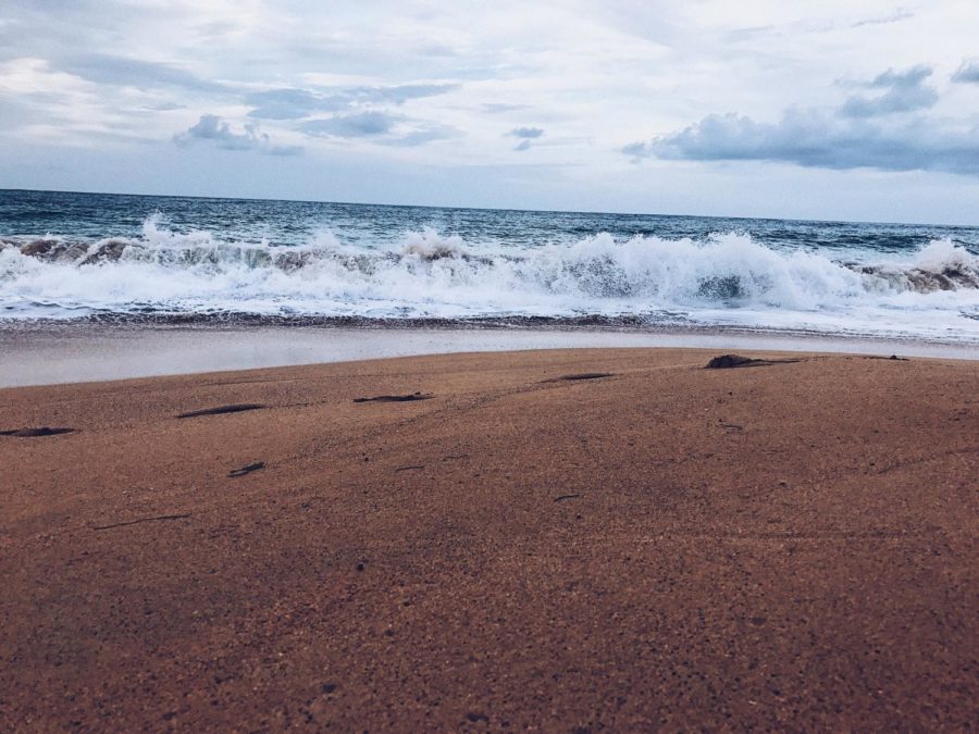 Although it's winter, the beach is still a great place to hang out with friends.