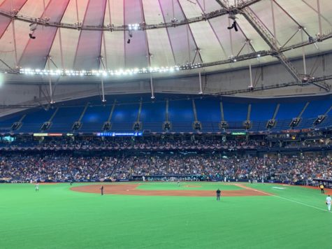 Tampa Bay Rays get stung on opening day
