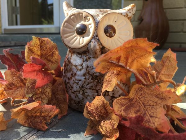 Fall is just around the corner, time to decorate!