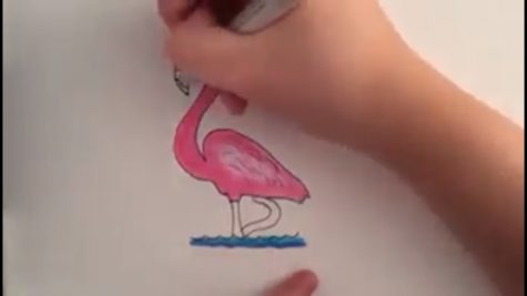 Draw a flamingo, take a pic, and post!  You could also mail it to a grandparent!