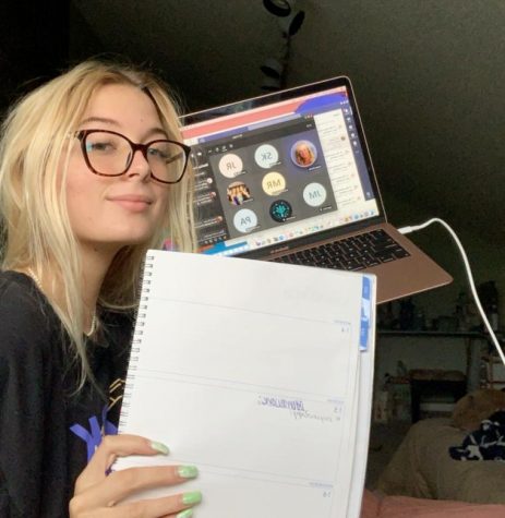 Online school has its advantages