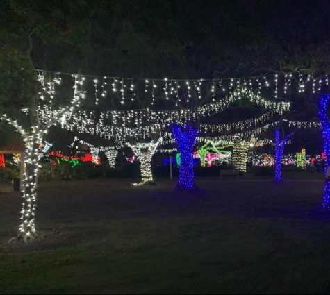 Largo Central Park Christmas lights 2022