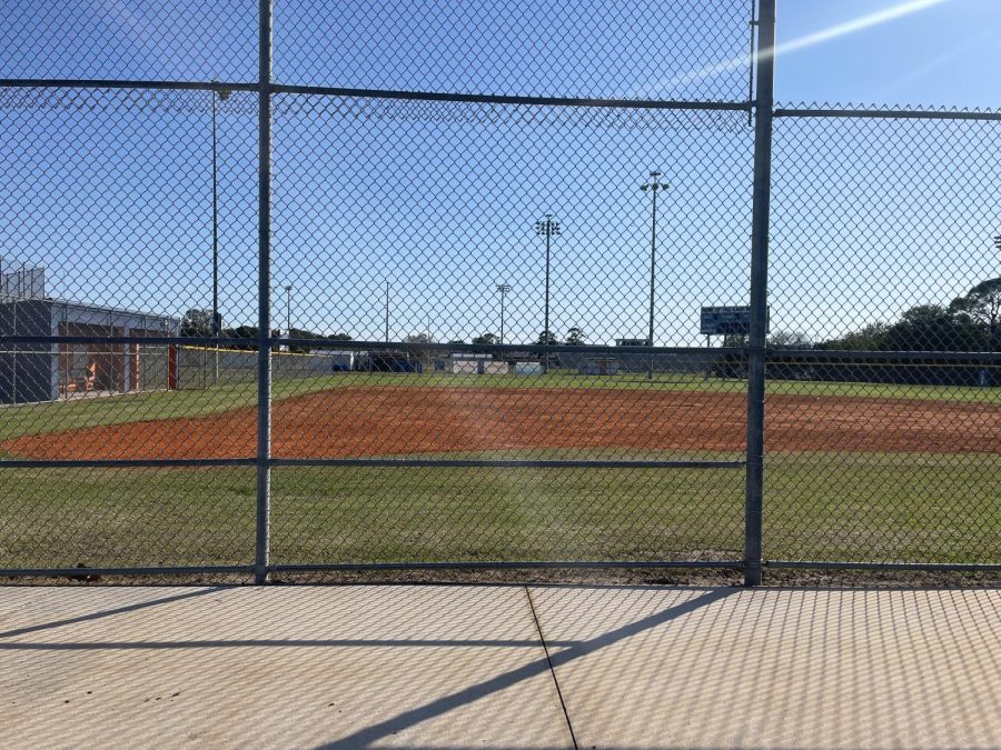 Softball+swings+into+action