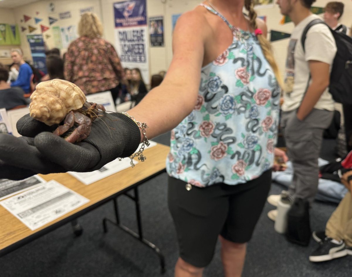  The Great American Teach In volunteer brings in a hermit crab.