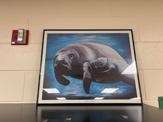 Ms. Copello's gift.