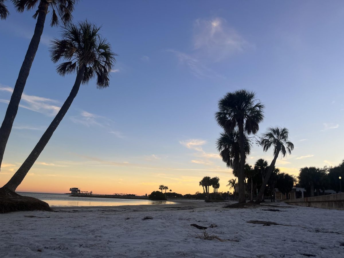  In St. Petersburg Florida, beaches are very calm with the weather feeling chilly.