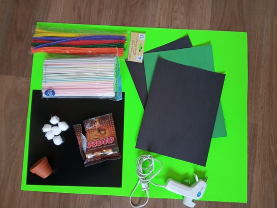 Supplies for Saint Patrick's Day DIY. 