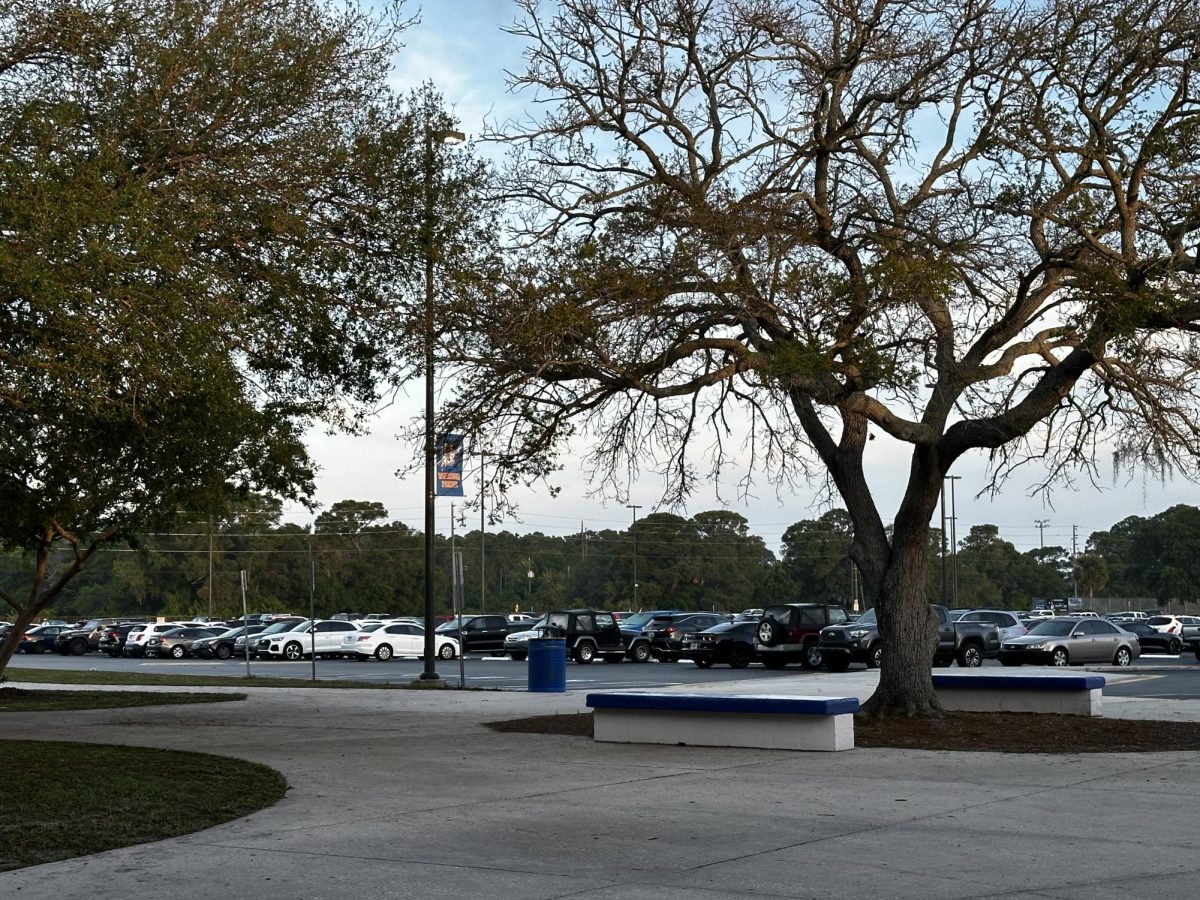 Dozens of students arrive in the parking lot in front of the school every day, but input is requested about transportation needs. 