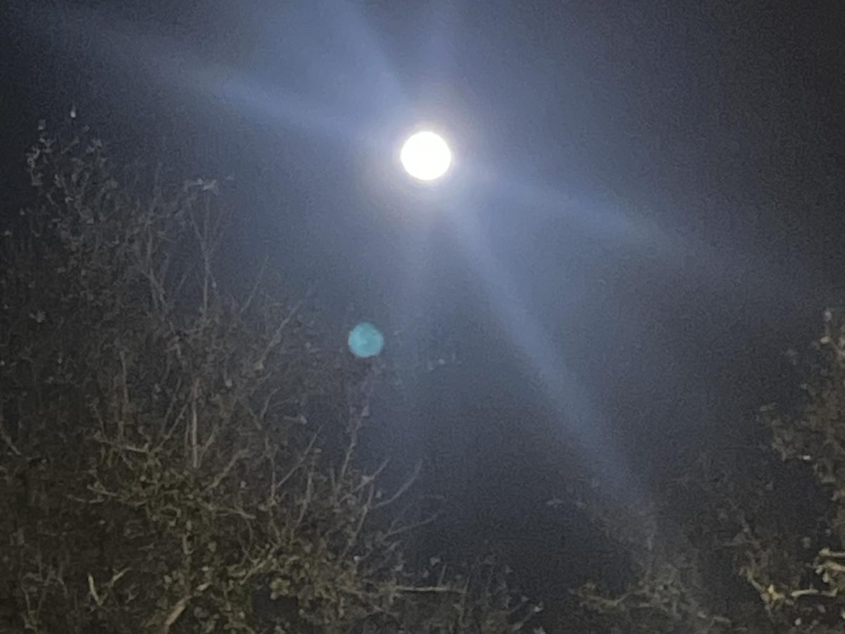 The moon showing how it changes from different times in the day.