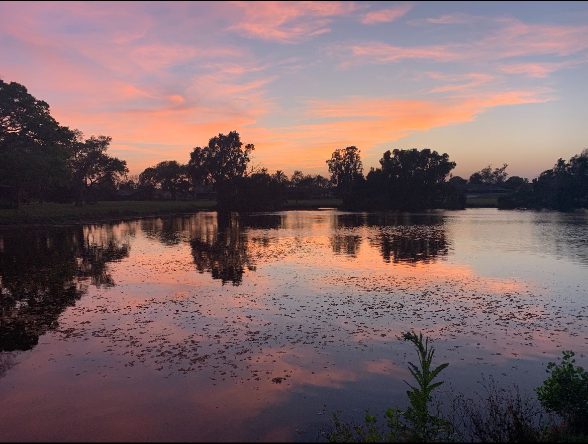 As Florida springs prepare for tourist season, undisturbed spring water awaits the commotion. 