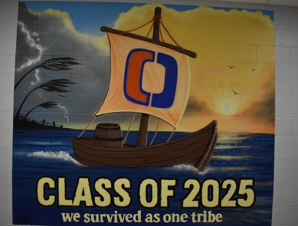 Sink or swim, seniors set sail