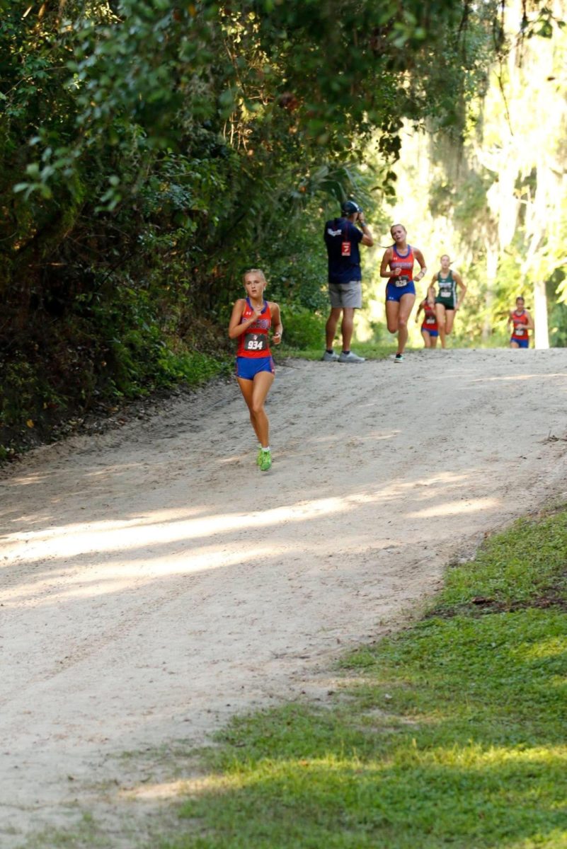 A Running Recap, Mile by Mile