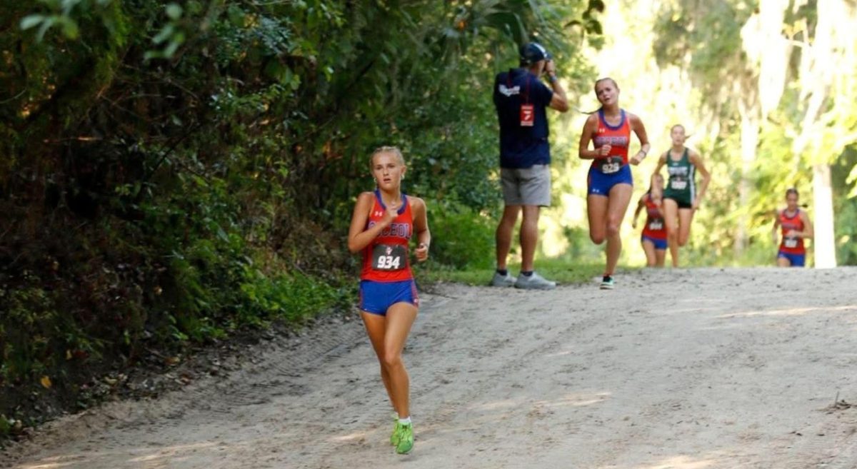 A Running Recap, Mile by Mile