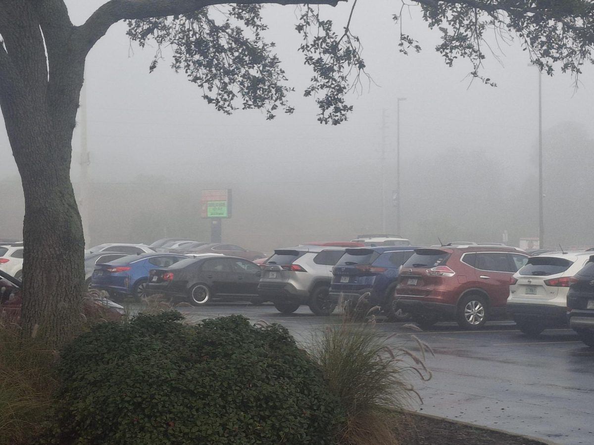 A foggy day in Tampa Bay