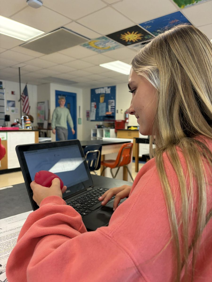 To help her focus while doing classwork Delainey Bjork (11th) plays and squeezes fidget toy! 