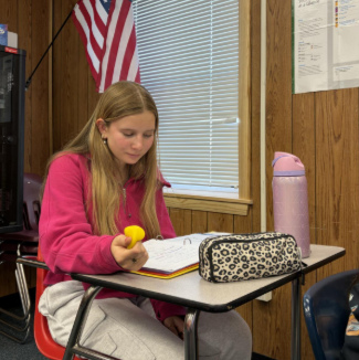 Lauren Borota (11th) brings her fidgets to school daily to help her lock in and focus. 
