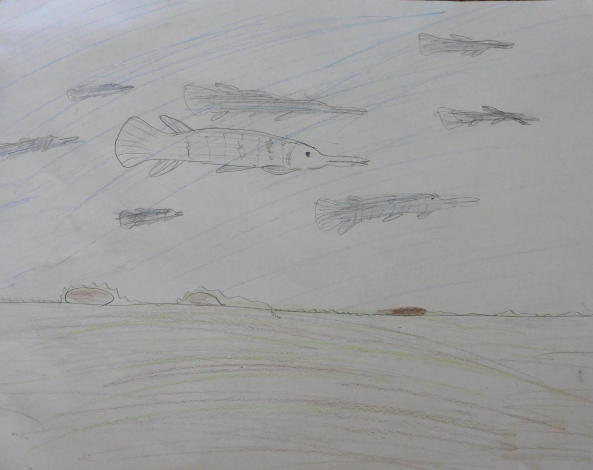 This picture a school of fish is illustrated by Madline Hazlett are Wordsmith.
